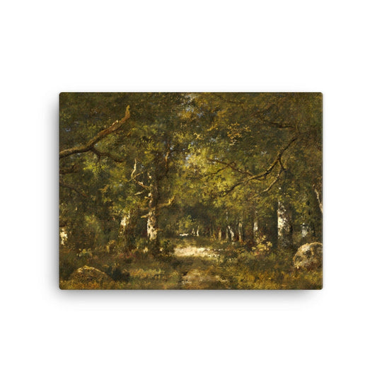 Forest Scene